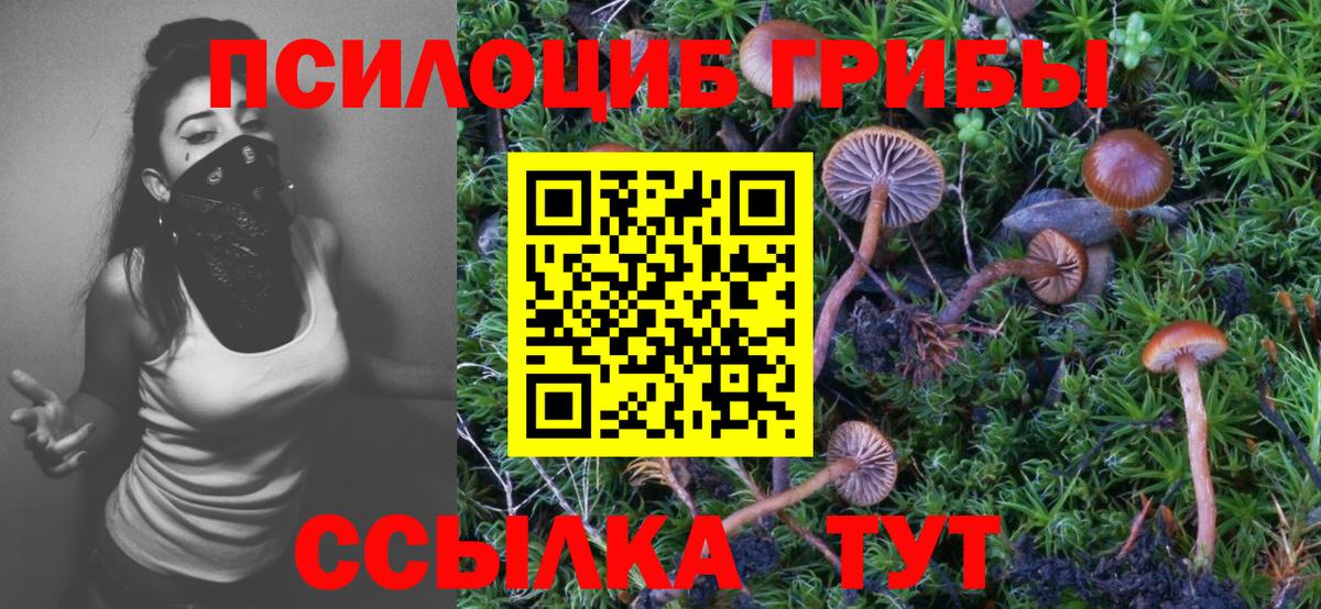 Галлюциногенные грибы мицелий Соликамск