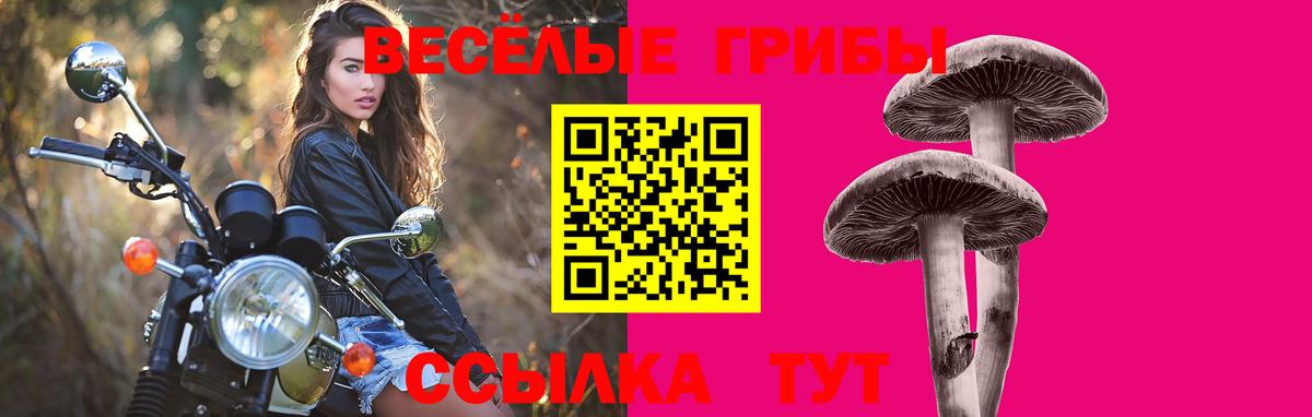 Соликамск  Псилоцибиновые грибы GOLDEN TEACHER  Вход с VPN 
